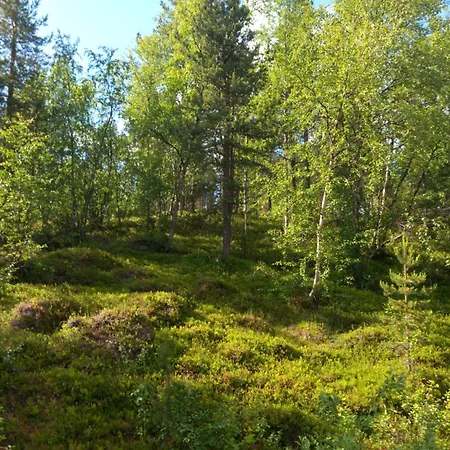 Rustic Old Lakeside At Daire