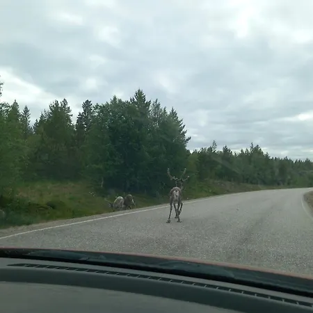 Rustic Old Lakeside At Sevettijärvi