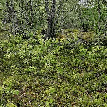 Apartamento Rustic Old Lakeside At Sevettijärvi