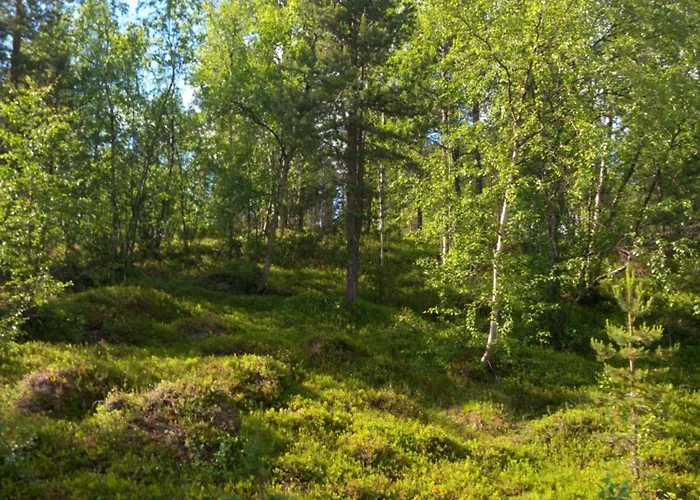 Rustic Old Lakeside At Διαμέρισμα