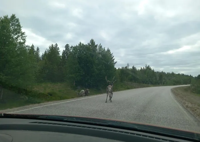 Rustic Old Lakeside At Sevettijärvi